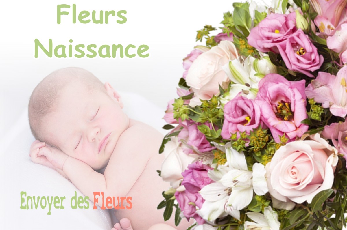 lIVRAISON FLEURS NAISSANCE à PONSONNAS